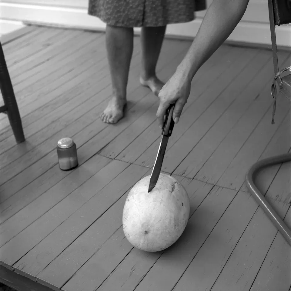 Emmet Gowin, Gertrude’s Melon, Danville, Virginia