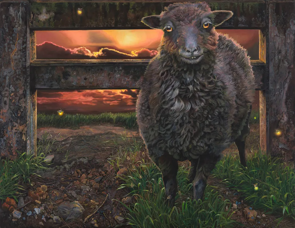 Deborah Poynton, Sheep and Fireflies