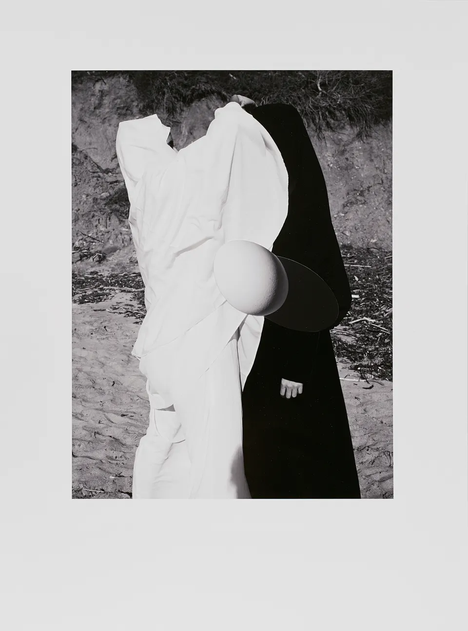Viviane Sassen, And Tango Makes Three