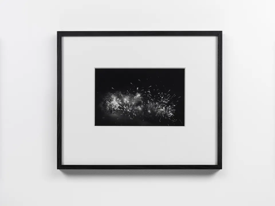 Gerard Byrne, Images or shadows of divine things