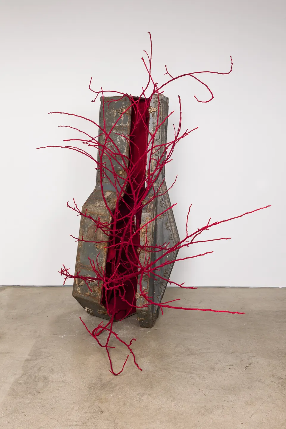 Astra Huimeng Wang, The Call of the Abyss