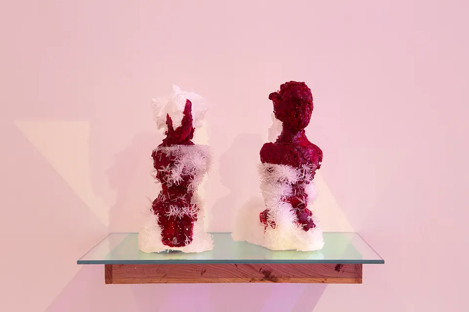 Wim Botha, Untitled (Bloom 8)