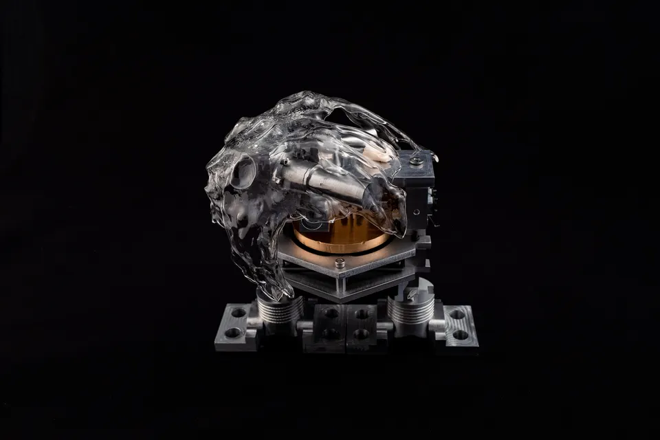 Xin Liu, Living Distance - EBIFA