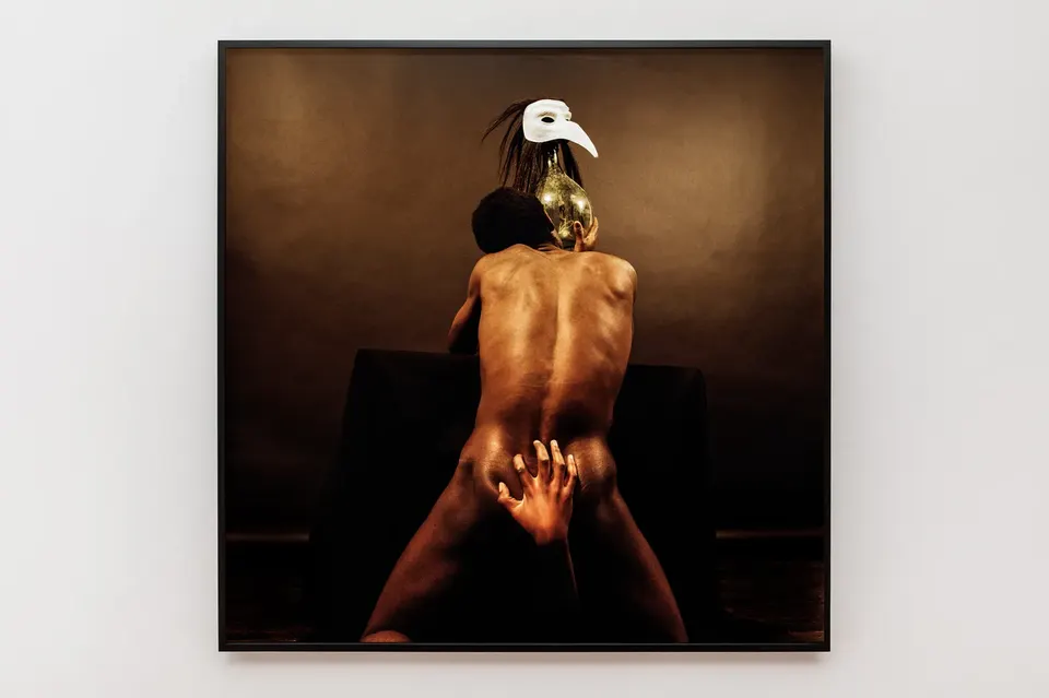 Rotimi Fani-Kayode, Every Moment Counts (Ecstatic Antibodies)