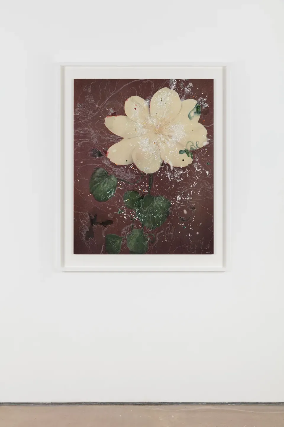 Sebastiaan Bremer, Clematis Hybrid Mevr. Le Feher Coutre