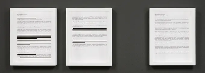 Simon Gush, Redacted transcripts