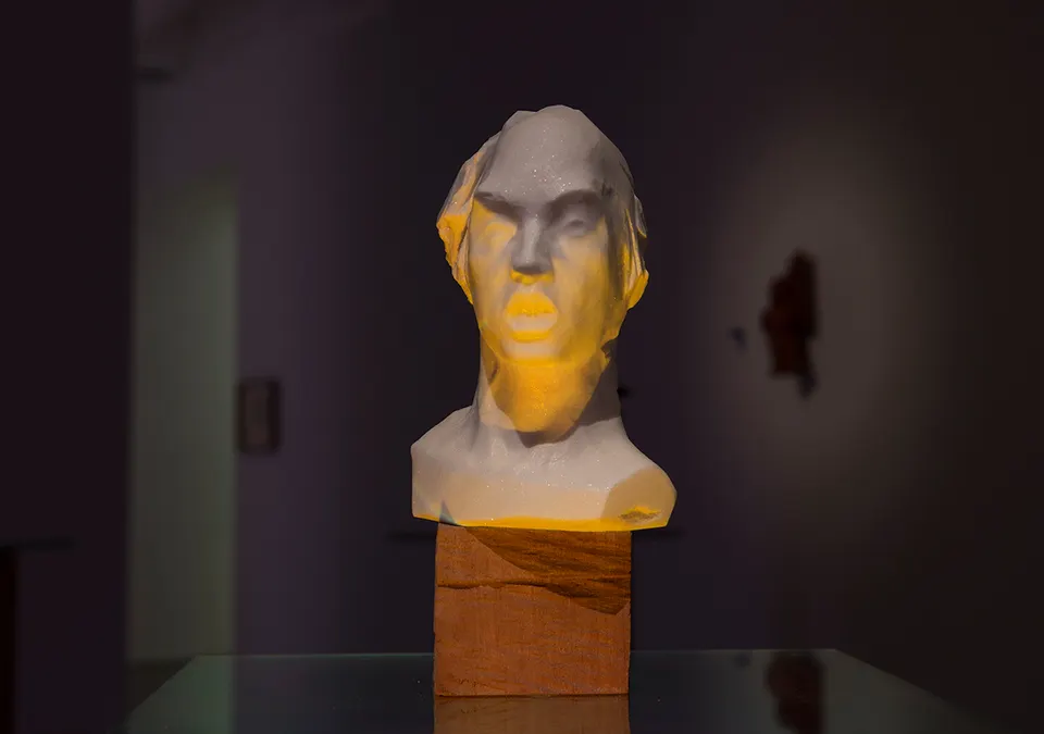 Wim Botha, Nebula 12 (afraid)