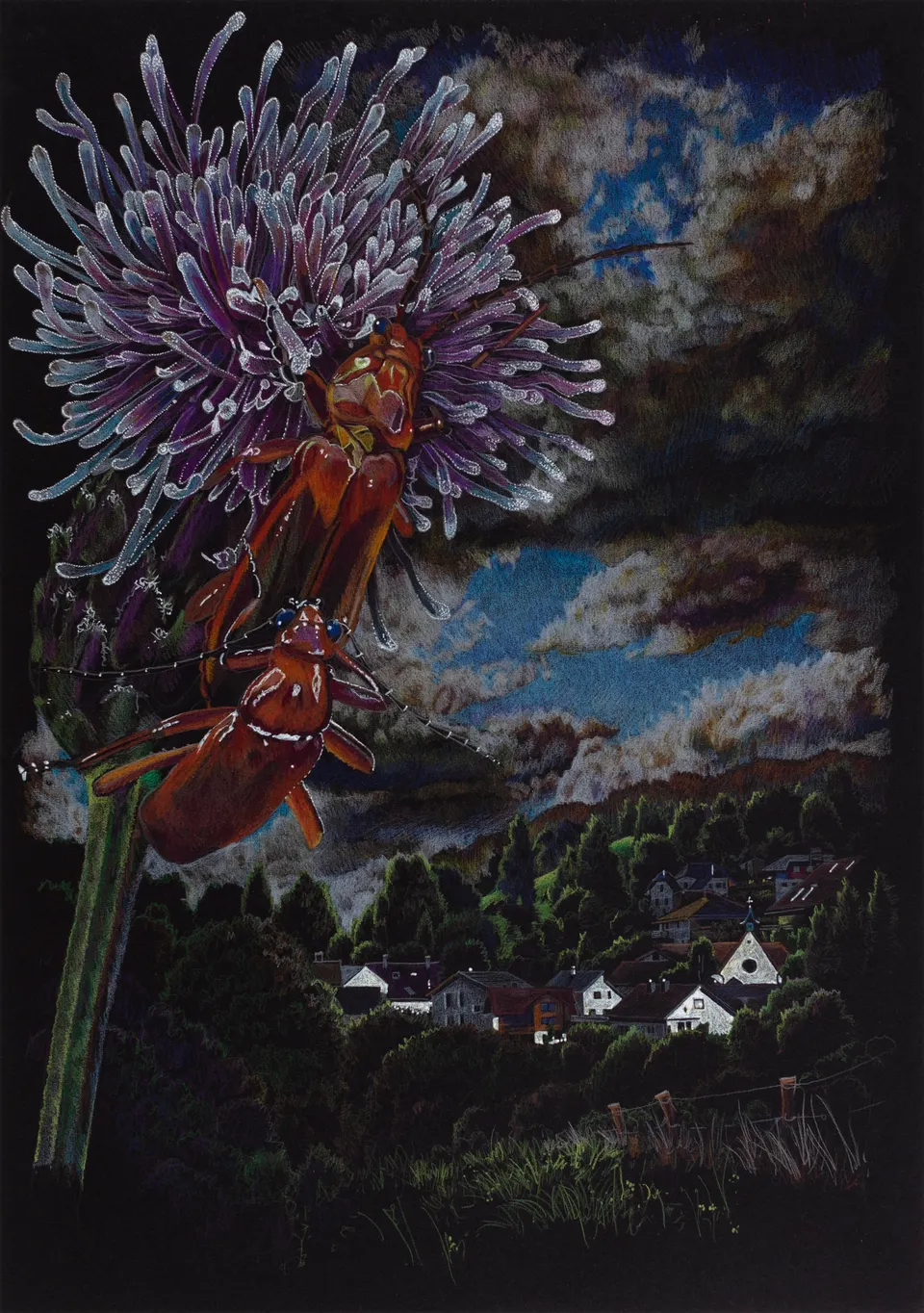 Deborah Poynton, Drawing on Black Paper 19