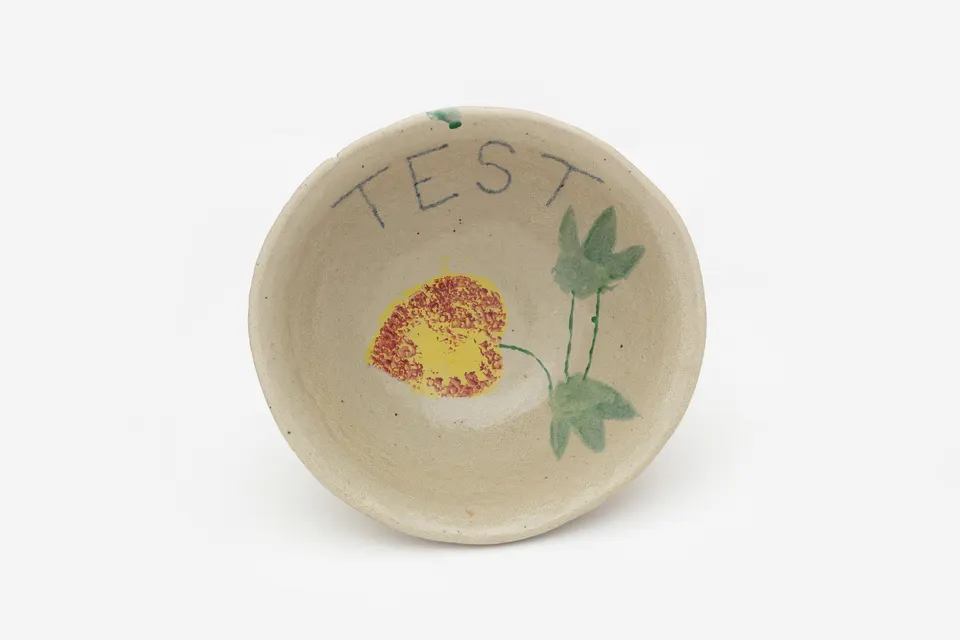 Hylton Nel, Test bowl
