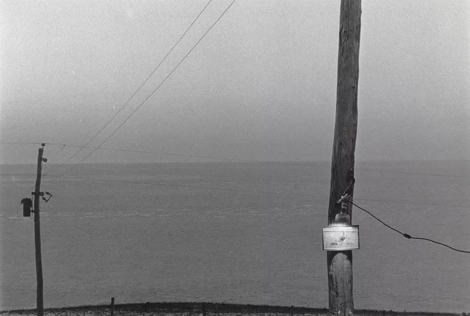 Robert Frank, Electric Dog, Mabou