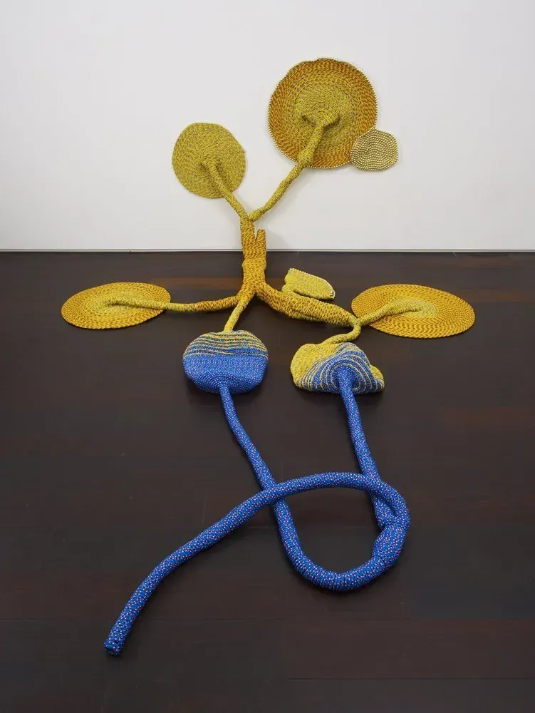 Maria Nepomuceno, Untitled