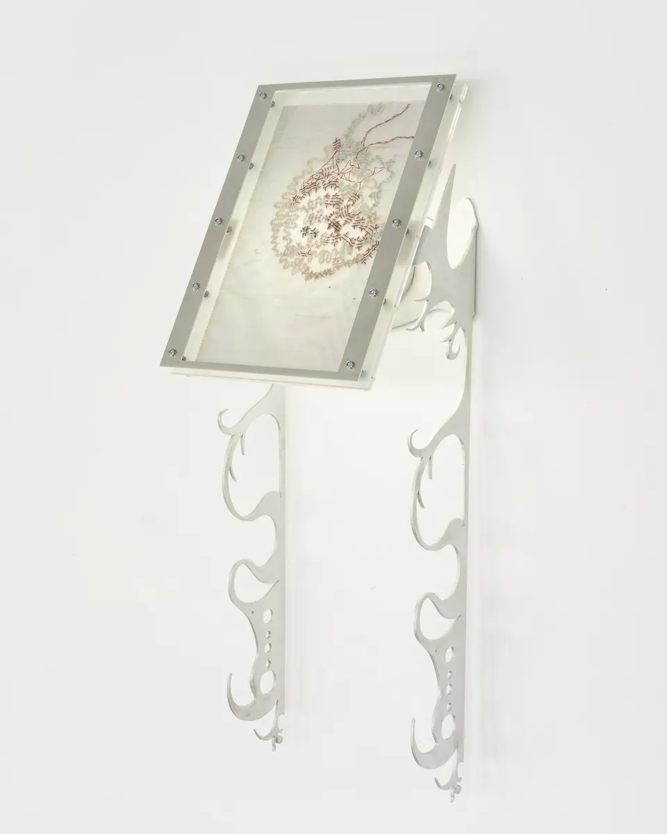 Xin Liu, Fortune Tellers: Womb