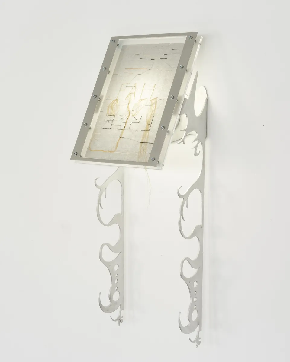 Xin Liu, Fortune Tellers: Free Fall