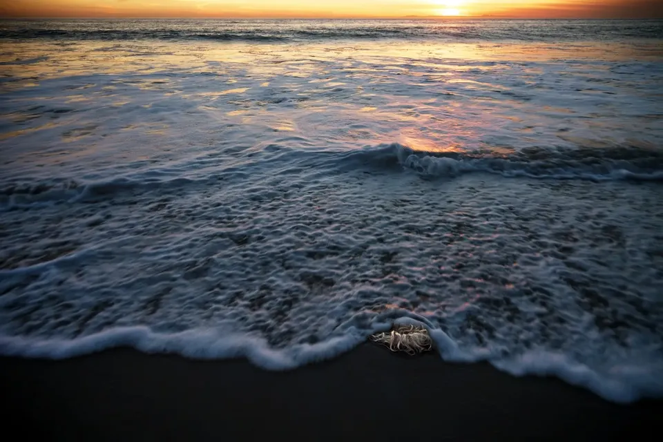 Bonnie Baxter, Out To Sea