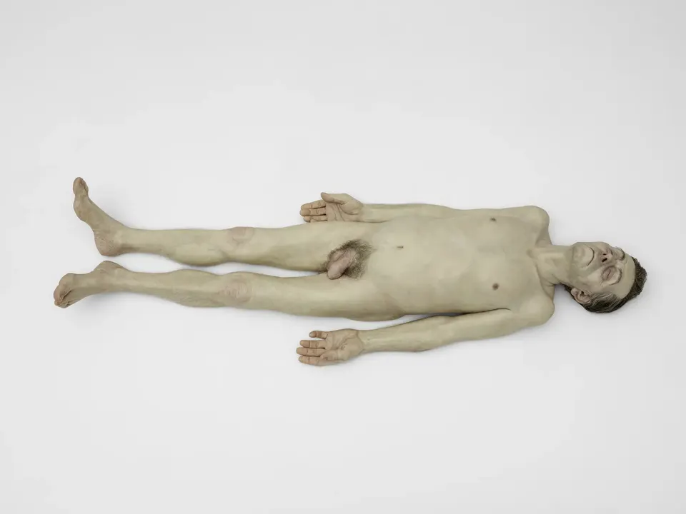 Ron Mueck, Dead Dad