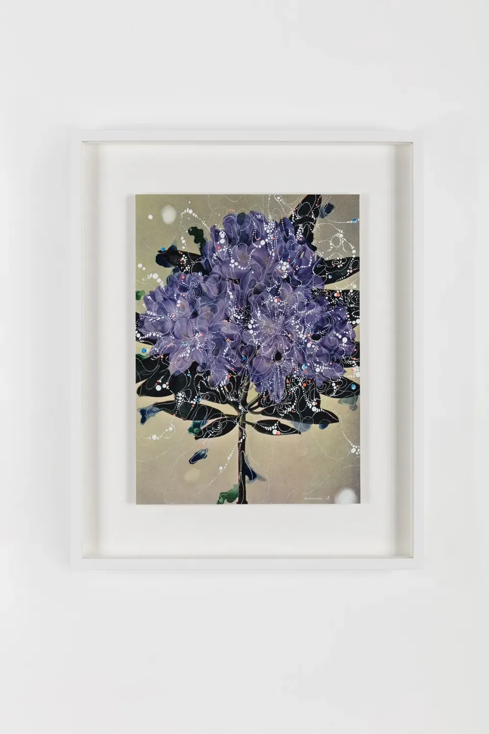 Sebastiaan Bremer, Rhododendron Catawbiense Boursault Sophie