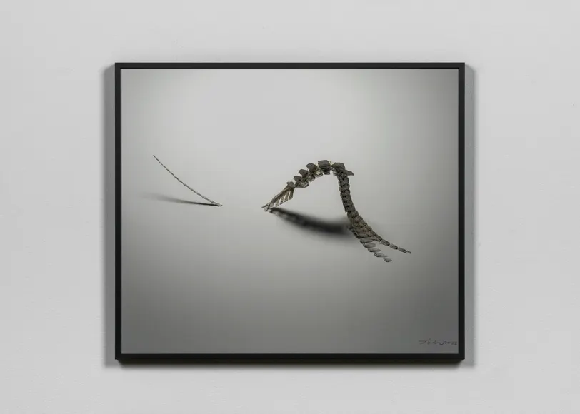 Yiyun Kang, Vanishing 01