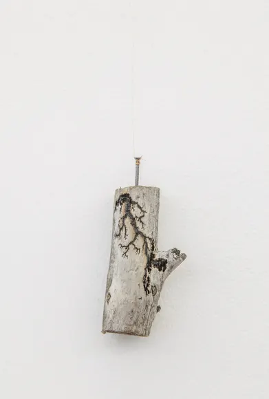 Nina Canell, Halfway Between Opposite Ends