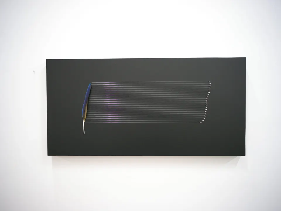 Glenda León, About the invisible (dark ara)