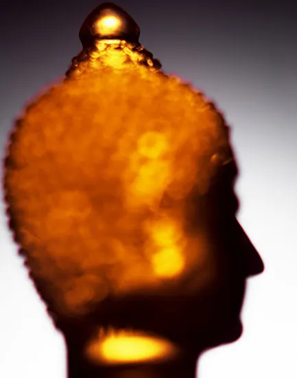 Manit Sriwanichpoom, Glass Buddha #06