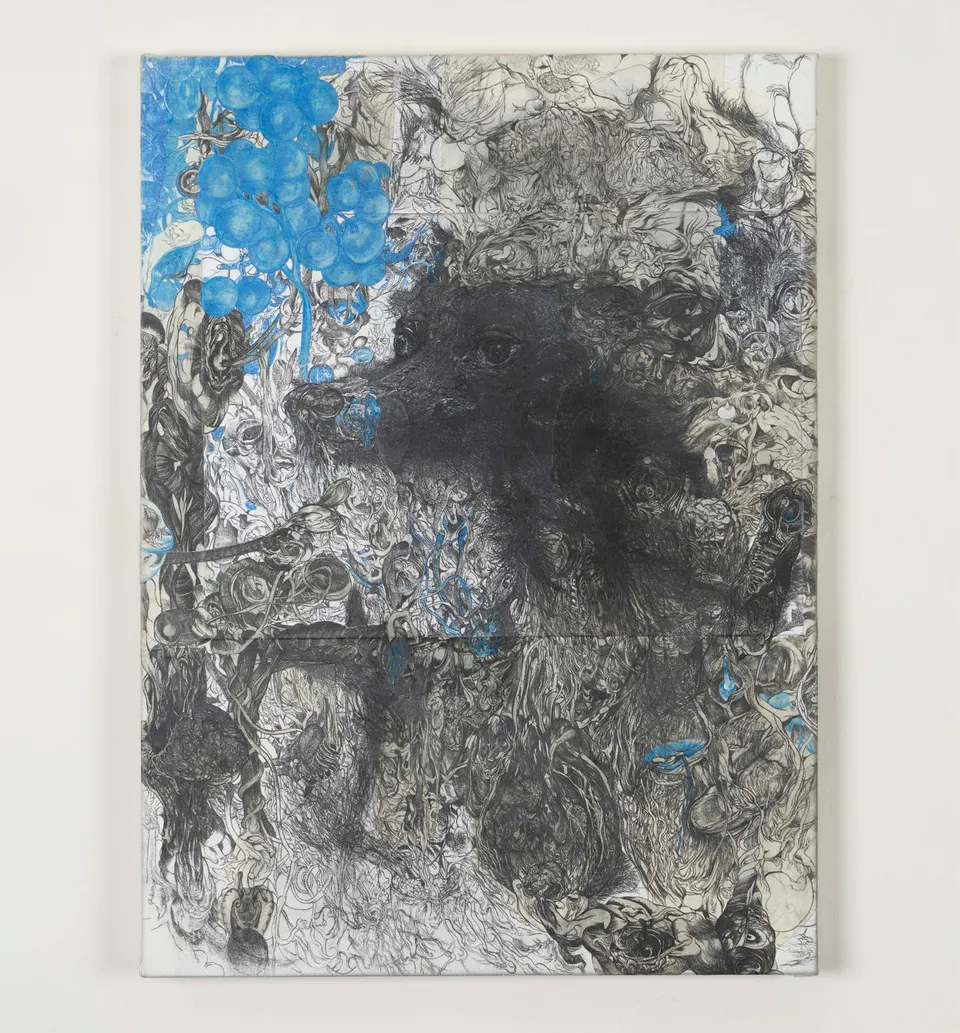 Ataru Sato, Analogy