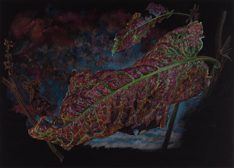 Deborah Poynton, Drawing on Black Paper 22