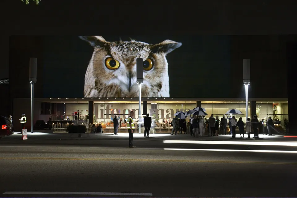Doug Aitken, Migration ('empire' linear)