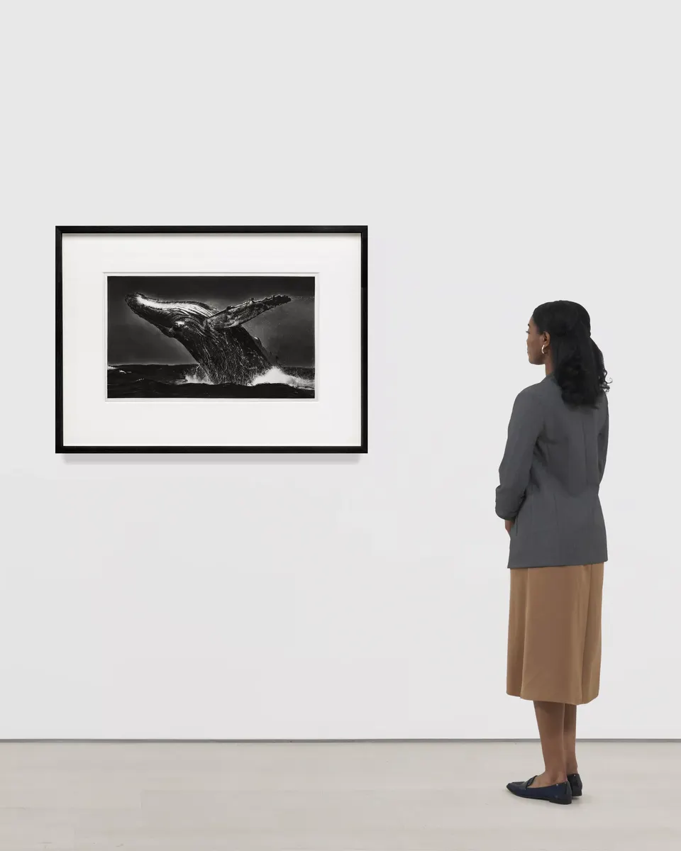 Robert Longo, Study Breaching Whale