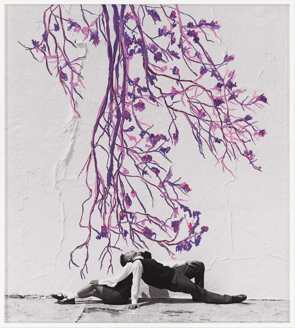 Robin Rhode, Jacaranda Vignette 6