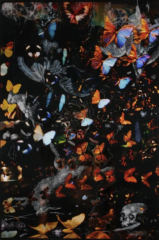 Sebastiaan Bremer, Butterflies and furs