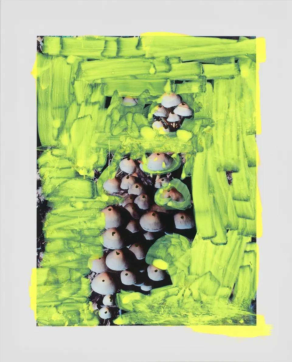Viviane Sassen, Oxytocin