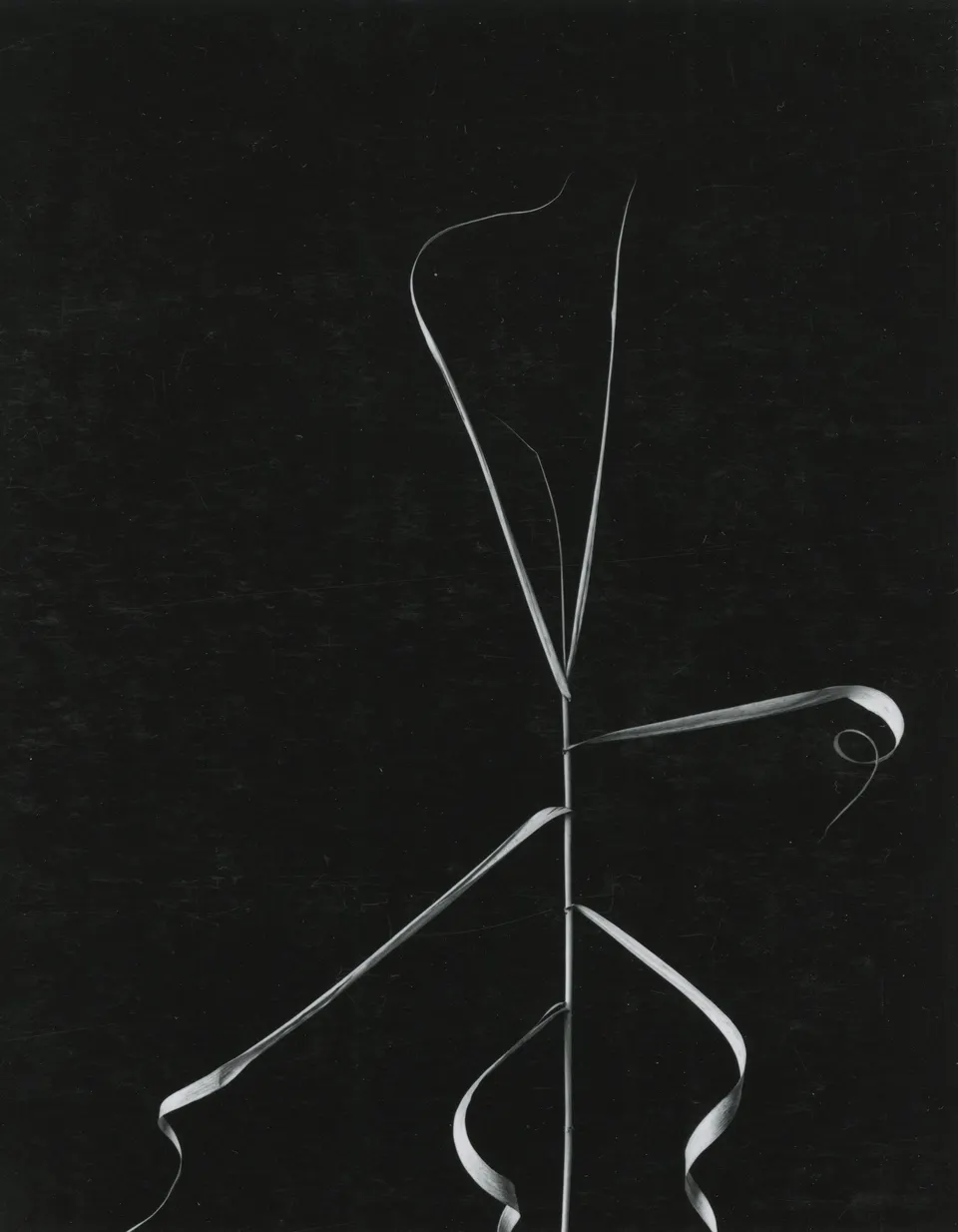 Harry Callahan, Aix-En-Provence