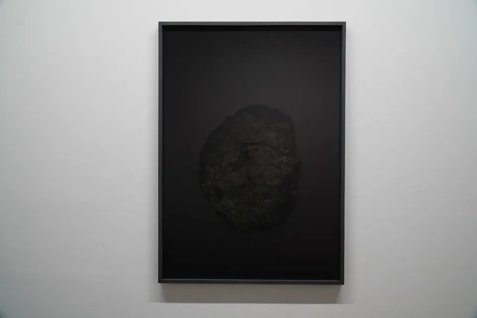 Yann Pocreau, Récits partiels (fin de matière)