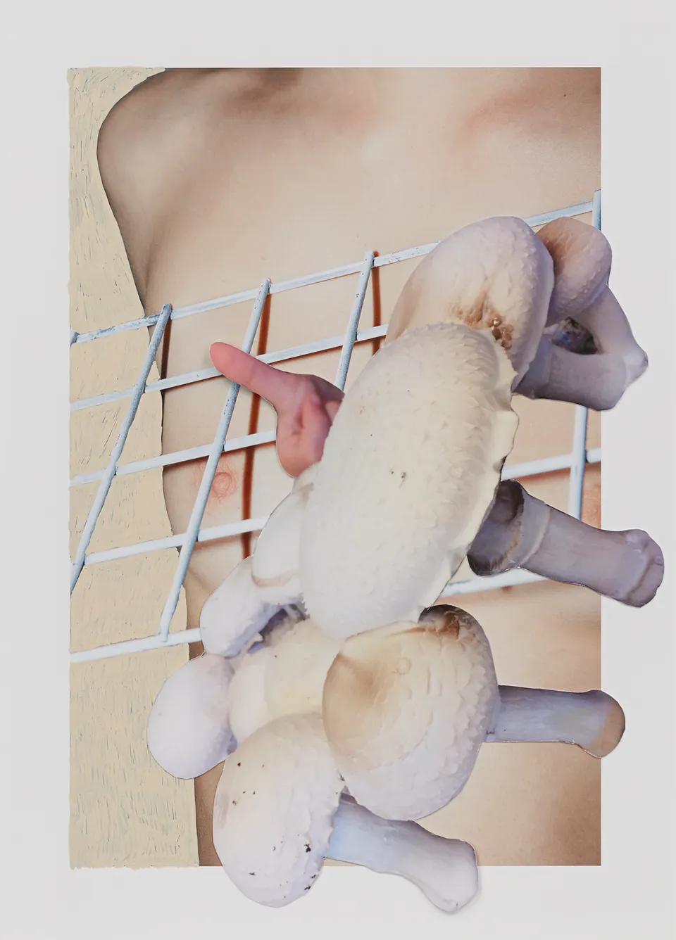 Viviane Sassen, Agaricus Bisporus