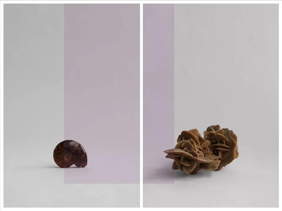 Yann Pocreau, Traversée minérale (la rose et le fossile)