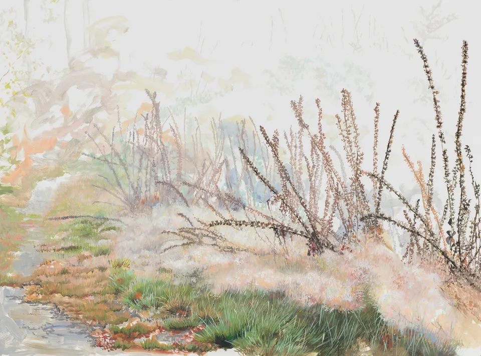 Deborah Poynton, Path 2