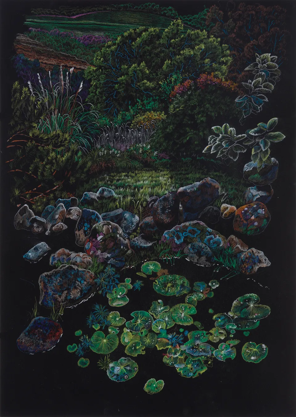 Deborah Poynton, Drawing on Black Paper 1