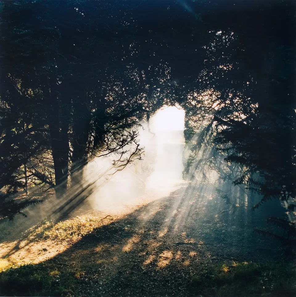 Jane and Louise Wilson, The Silence is Twice as Fast Backwards III