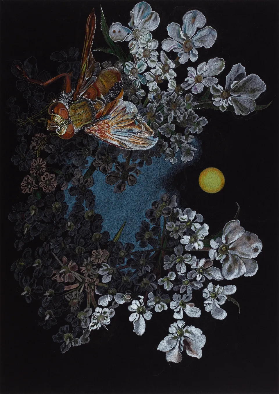 Deborah Poynton, Drawing on Black Paper 15