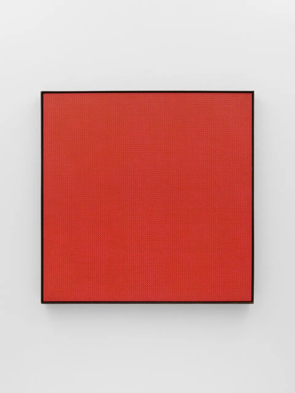 Tony Bechara, Red Skin II