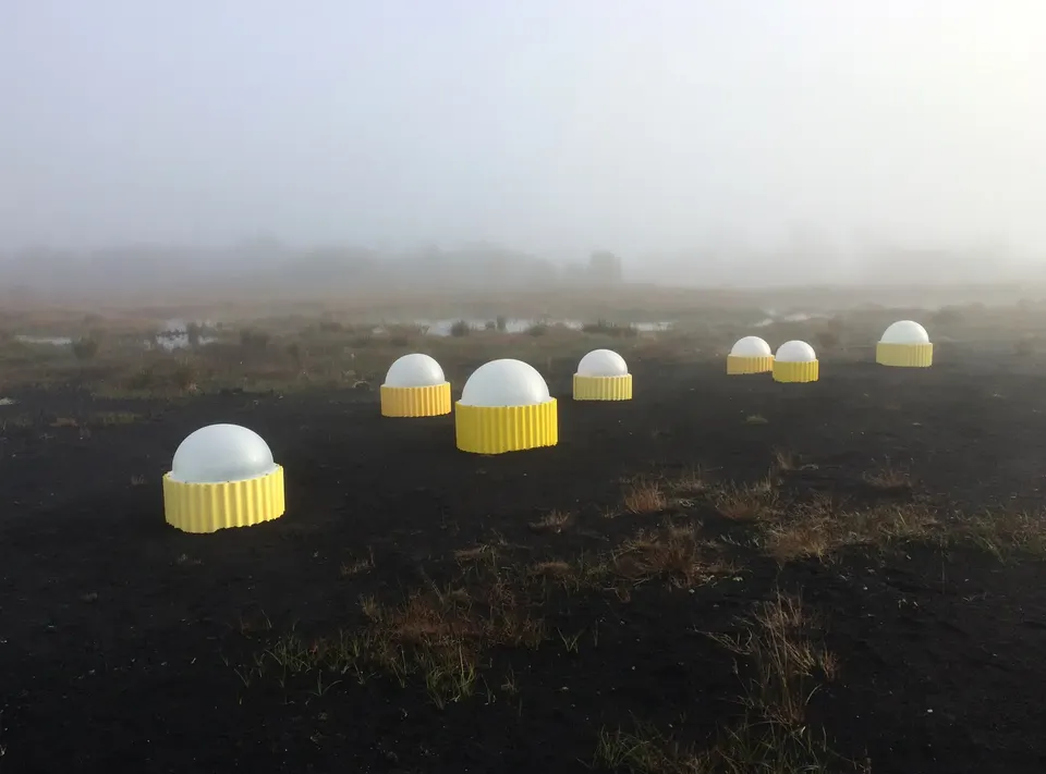 Rachael Champion, Carbon Flux