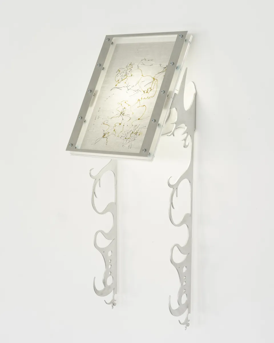 Xin Liu, Fortune Tellers: Stray