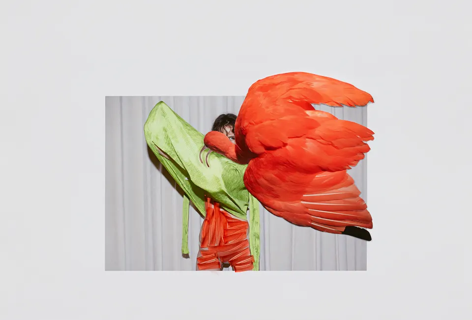 Viviane Sassen, Eudocimus Ruber