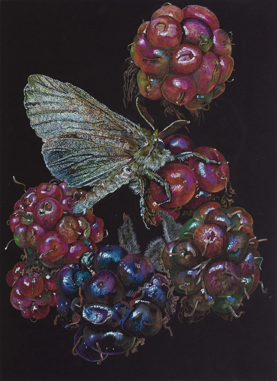 Deborah Poynton, Drawing on Black Paper 31