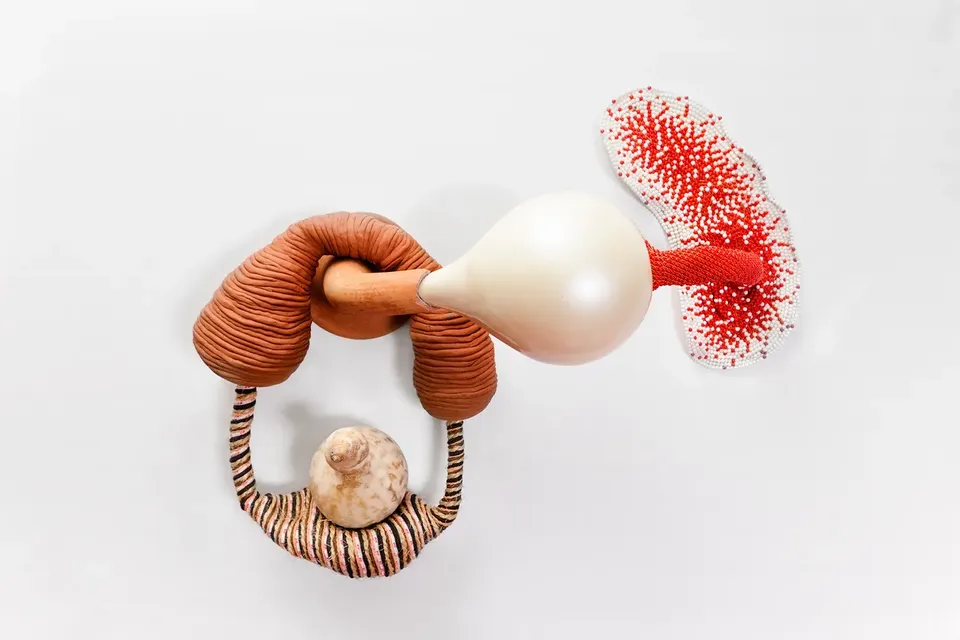 Maria Nepomuceno, Untitled
