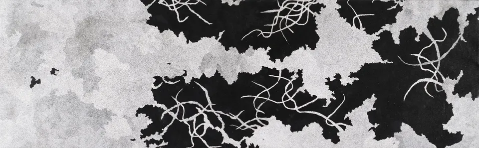 Lois Selasie Arde-Acquah, Soft entanglements - II