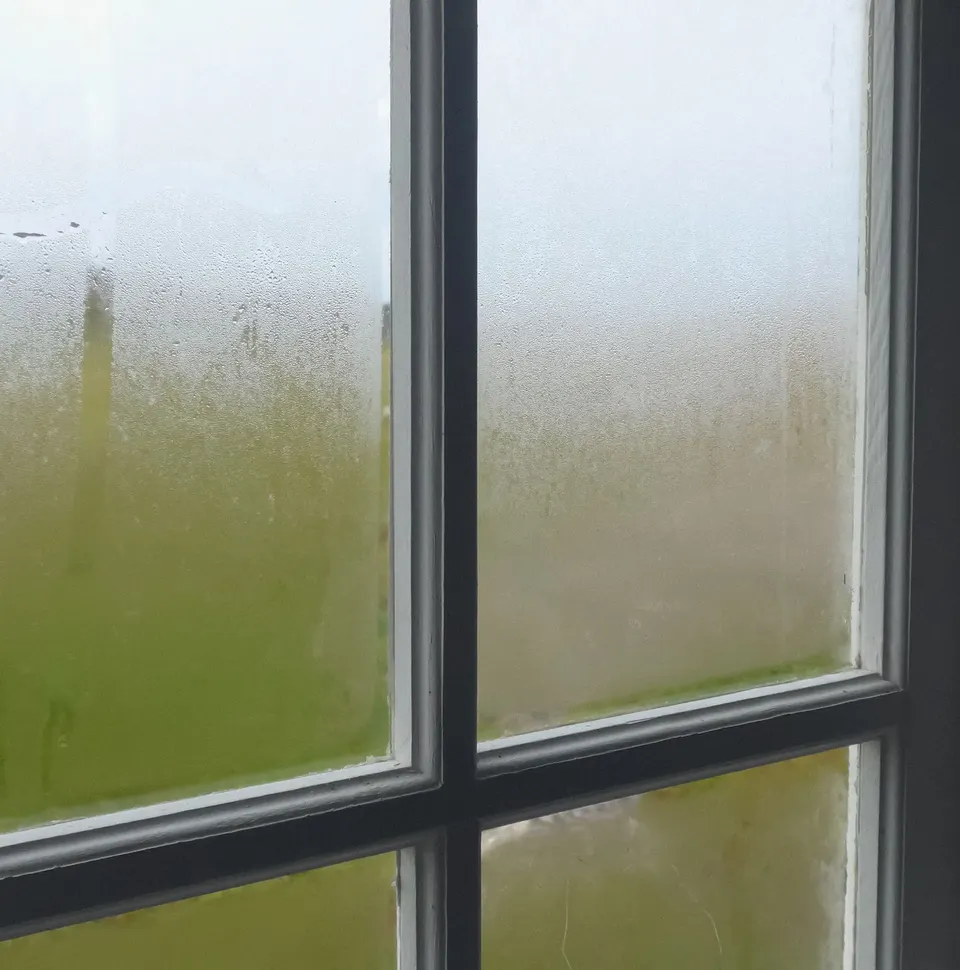 Angela Grauerholz, Dew on Window 1/5