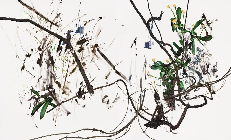 Deborah Poynton, Arbor
