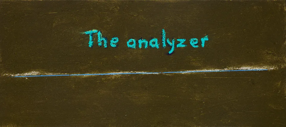 Mawande Ka Zenzile, The analyzer