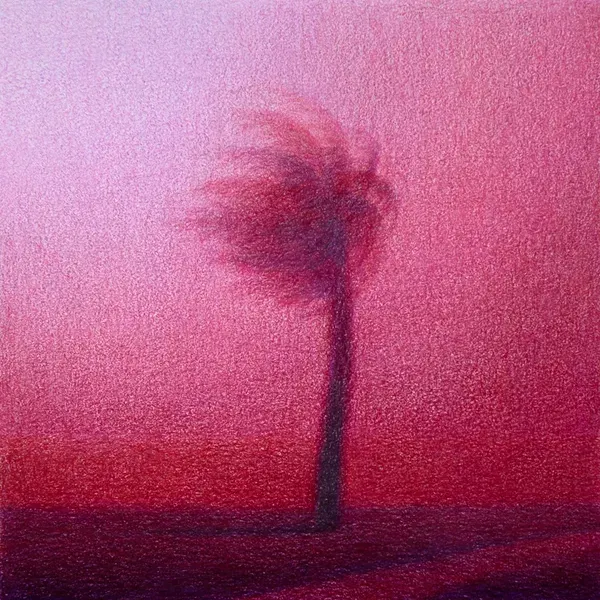 Steffen Kern, Red Palm